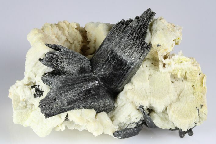 Black Tourmaline (Schorl) Crystals with Orthoclase - Namibia #177550